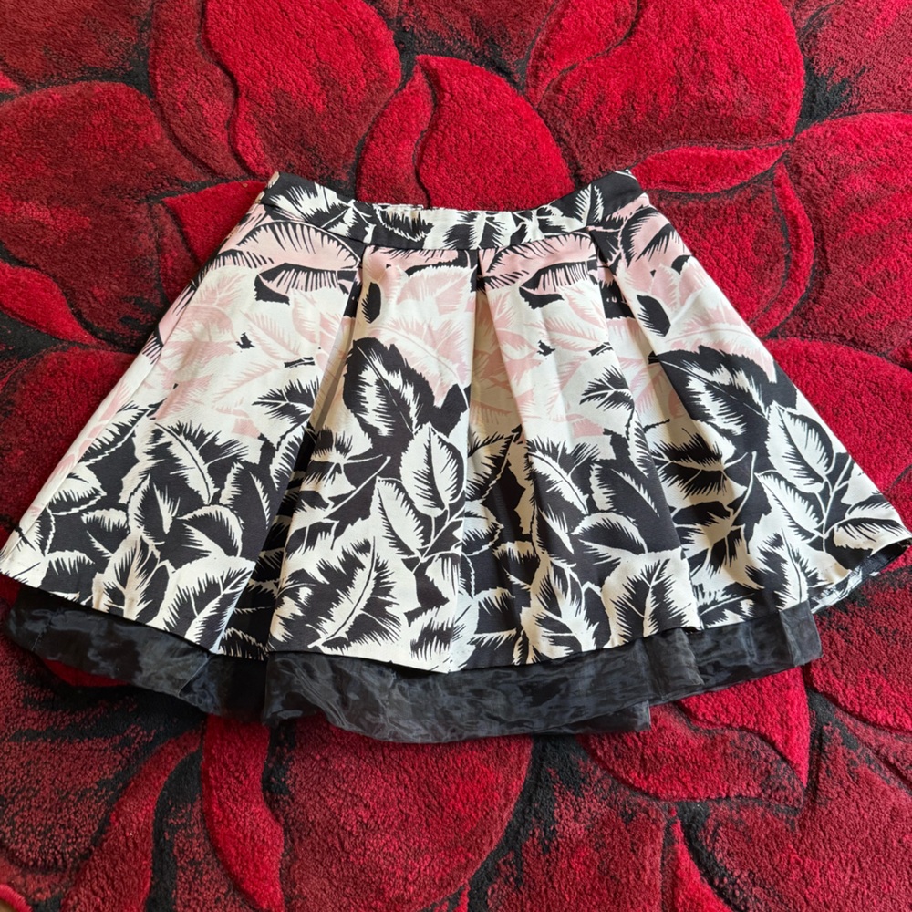 Express skirts